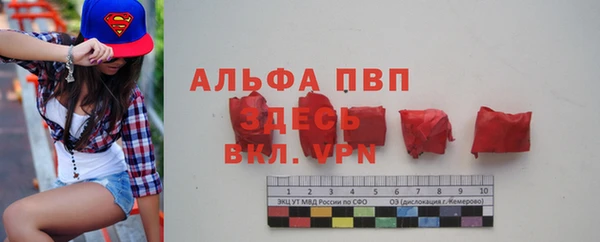 spice Дмитров