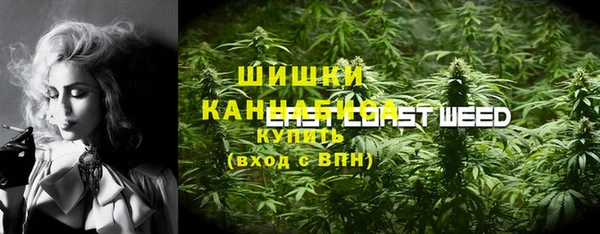 spice Дмитров