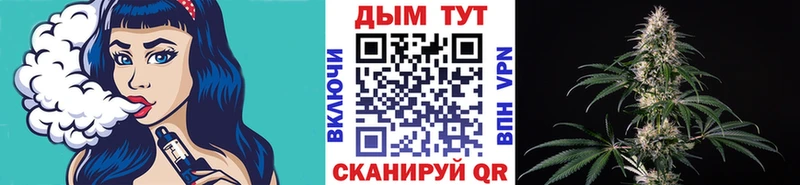 Шишки марихуана сатива  Купить где  Кизляр 